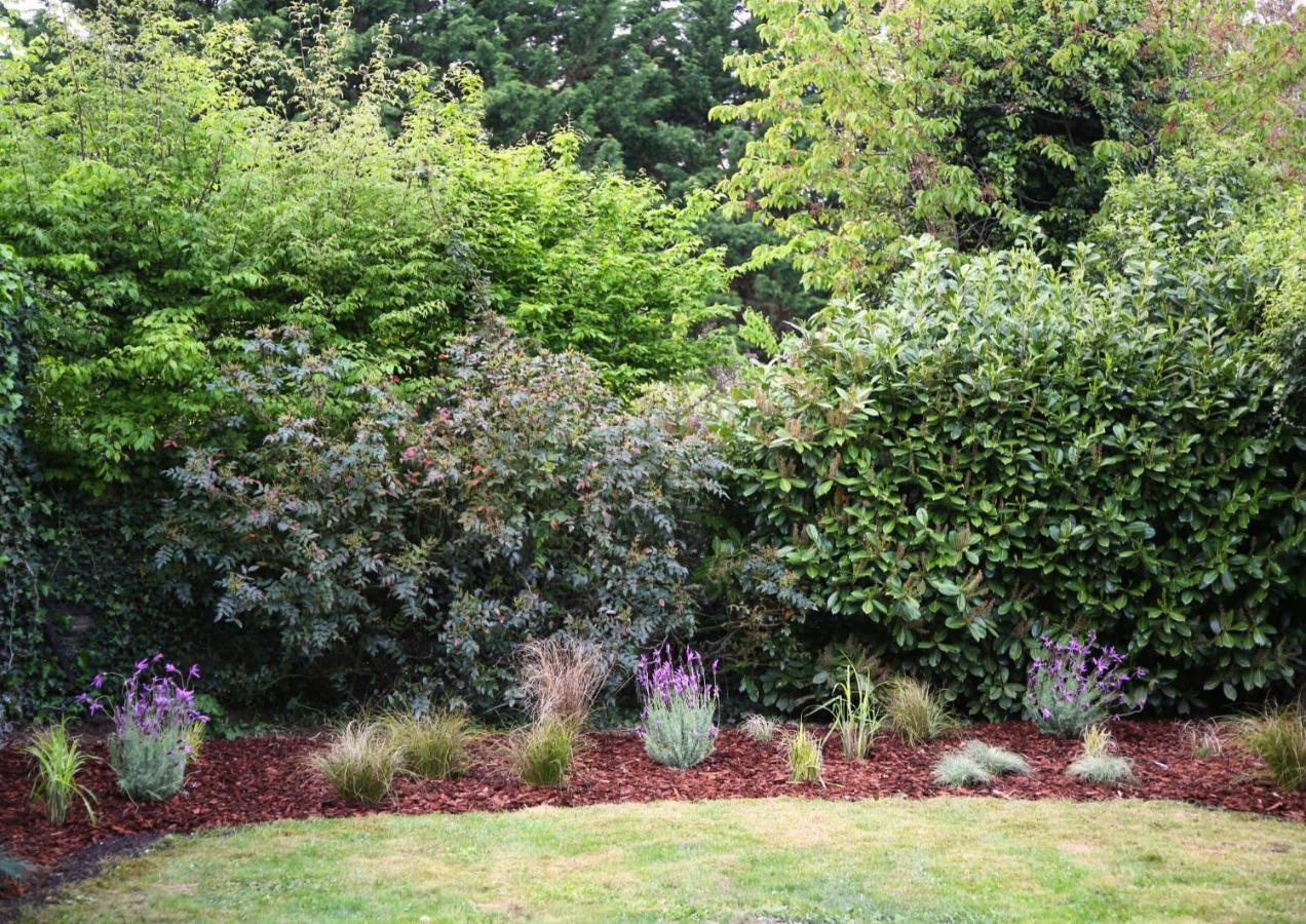 L'Eden Chic - Balneo - Jardin - Parking Gratuit Apartment Arras Luaran gambar